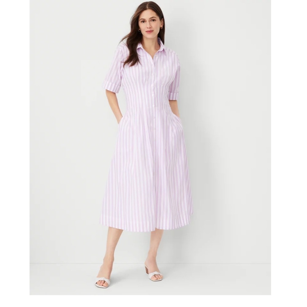 Ann Taylor Petite Collared Midi Shirtdress